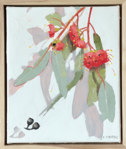 Silver foliage, pink gum - Kirsty McIntyre