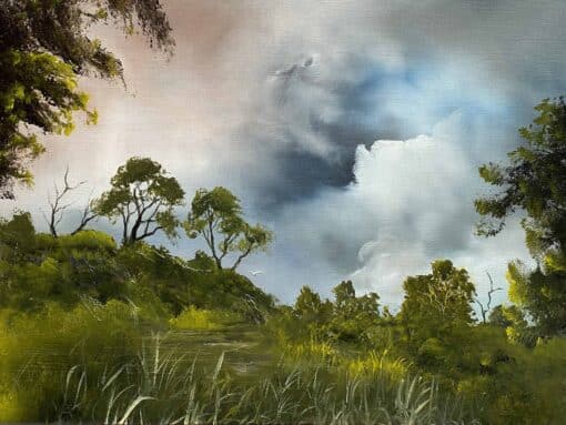 Storm Over the Swamp - Elaine Green