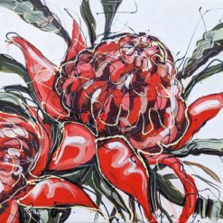 Waratah Bloom - Aidan Weichard