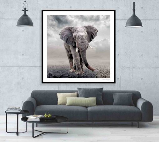 Ellie On The Plains - Martine Vanderspuy - Image 2