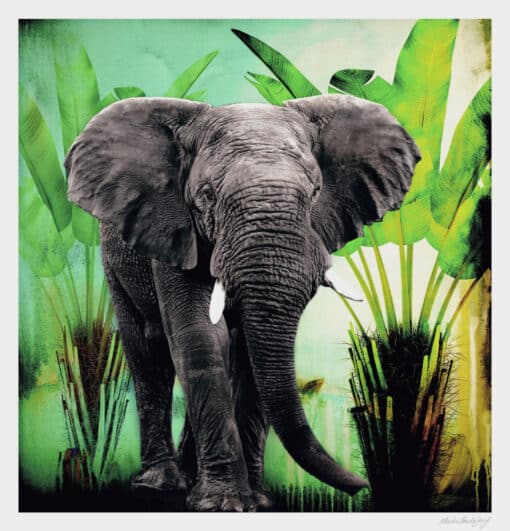 Elephant in the Jungle