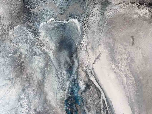 Hastings Reef - Martine Vanderspuy - Image 6