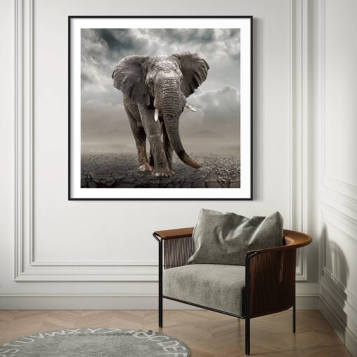Ellie On The Plains - Martine Vanderspuy - Image 3