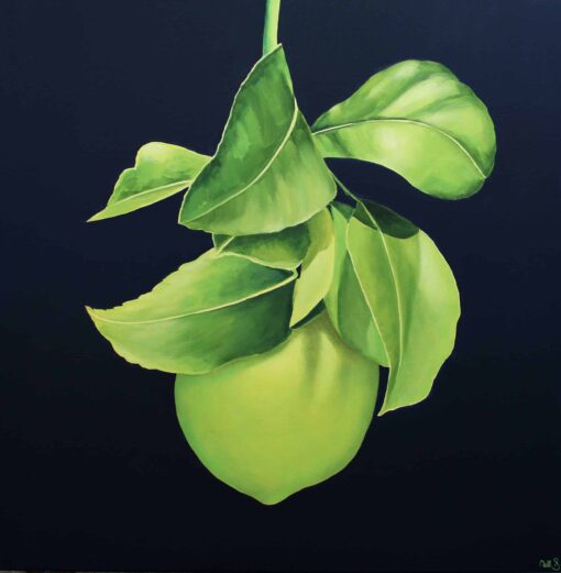 Padua - Nell Symonds