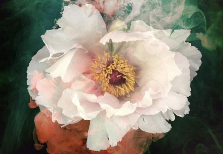 Floral and Ink