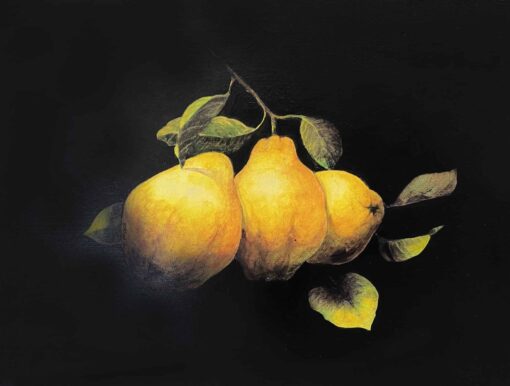 Quinces - Sally Horton