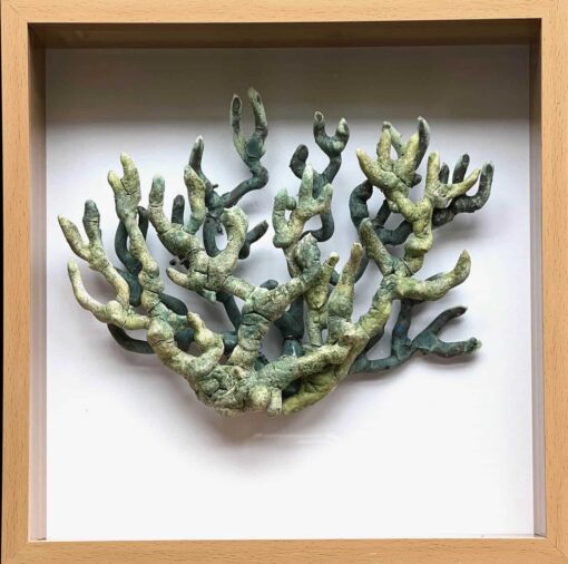 Ceramic Coral #5 - Sol Contardo