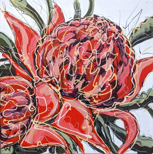 Wild Waratahs - Aidan Weichard