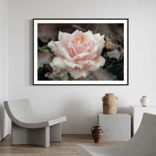 Una Rose - Image 8