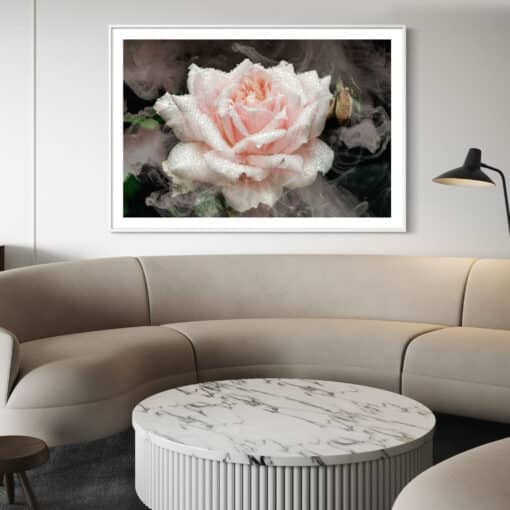 Una Rose - Image 5