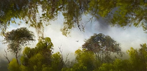 Forest Through The Window - Elaine Green