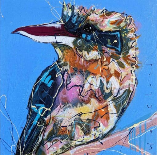 Kooka # 1 - Aidan Weichard
