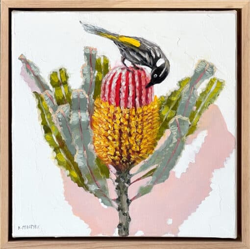 New Holland Honeyeater with Raspberry banksia - Kirsty McIntyre