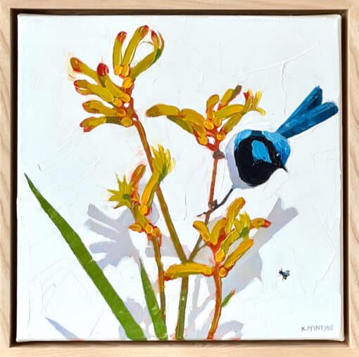 Blue wren with golden kangaroo paw - Kirsty McIntyre