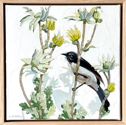 Willy wagtail with flannel flowers - Kirsty McIntyre