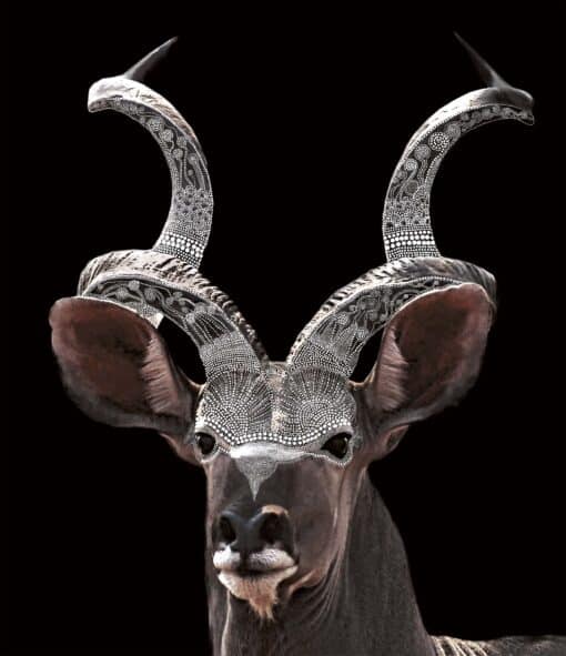 Dotted Buck - Martine Vanderspuy