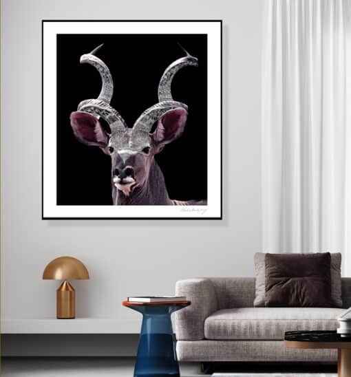 Dotted Buck - Martine Vanderspuy - Image 2