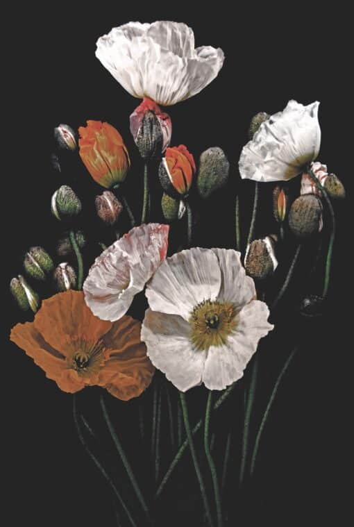 Popping Poppies - Martine Vanderspuy