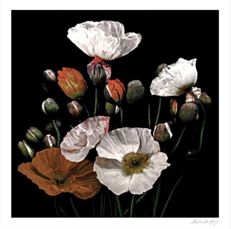 Popping Poppies - Martine Vanderspuy