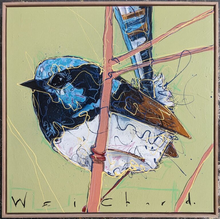 Weekend Wren #10 - Aidan Weichard