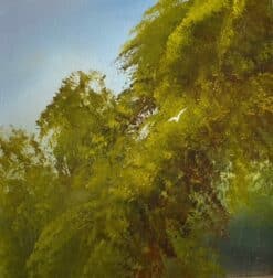 Rainforest Flight 2  - Elaine Green