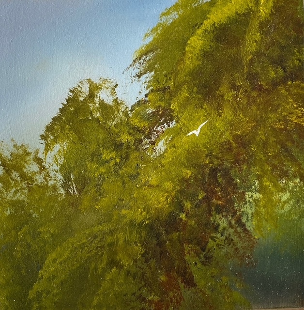 Rainforest Flight 2 - Elaine Green