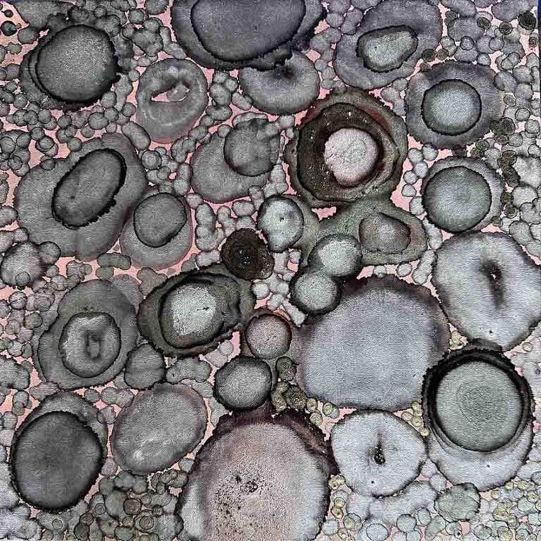 Rockpool Magic I - Martine Vanderspuy