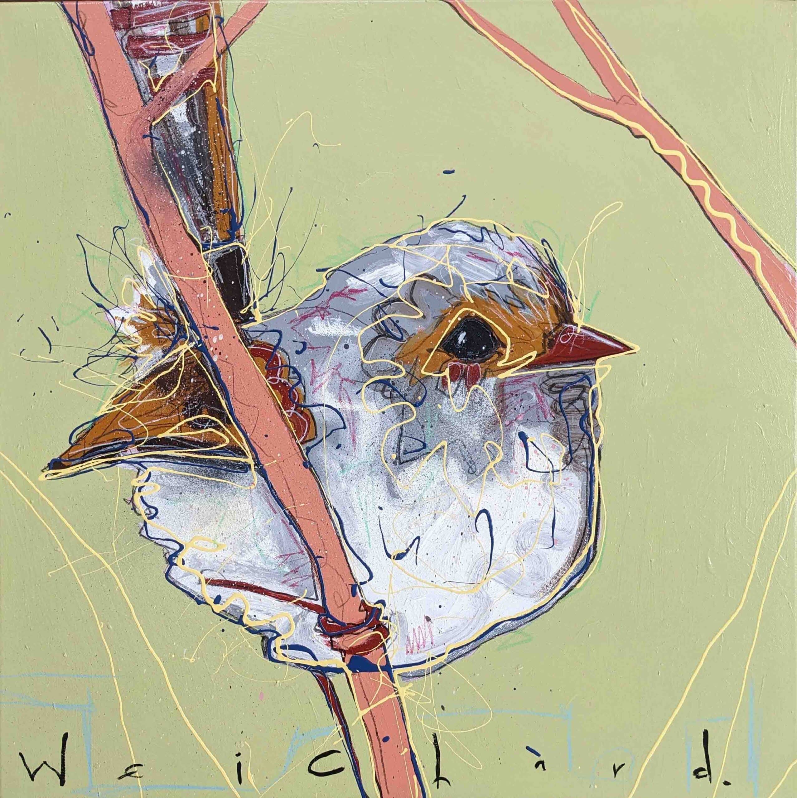 Weekend Wren #9 - Aidan Weichard