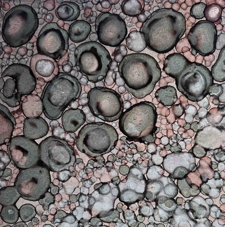 Rockpool Magic II - Martine Vanderspuy