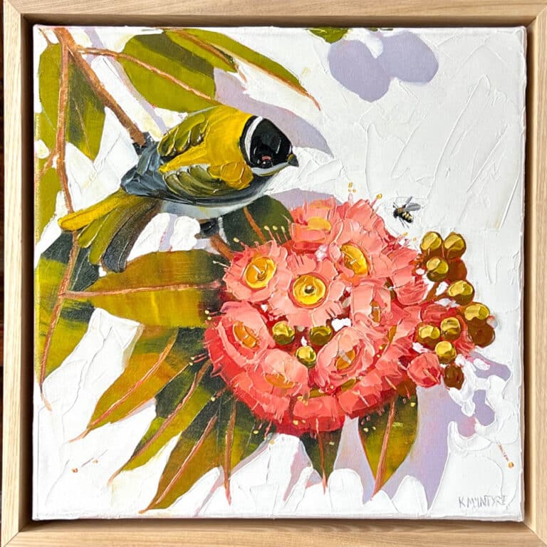 Honeyeater with pink blossom - Kirsty McIntyre