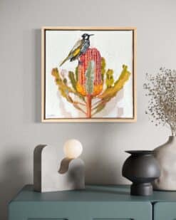 Alternative view of New holland honeyeater with banksia- Kirsty McIntyre