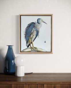 Alternative view of White faced heron - Kirsty McIntyre
