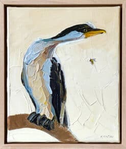 Alternative view of Little cormorant - Kirsty McIntyre