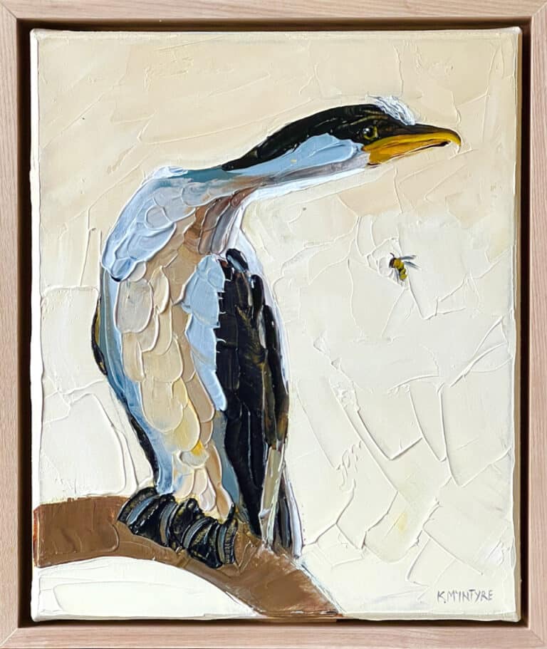 Little cormorant - Kirsty McIntyre