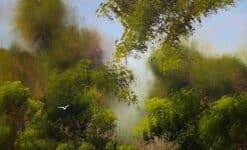 Mist In The Forest II - Elaine Green
