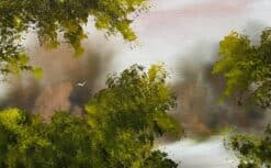 Mist In The Forest III - Elaine Green