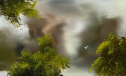 Mist In The Forest IV - Elaine Green