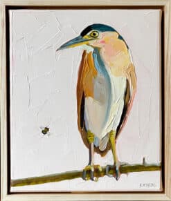 Alternative view of Nankeen night heron - Kirsty McIntyre