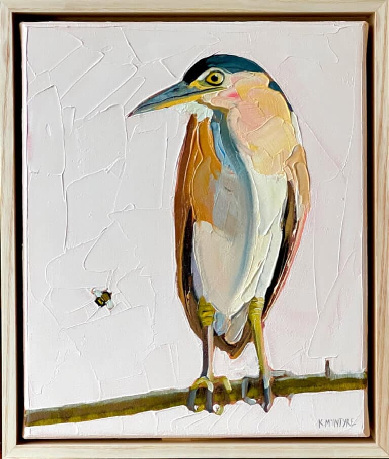 Nankeen night heron - Kirsty McIntyre