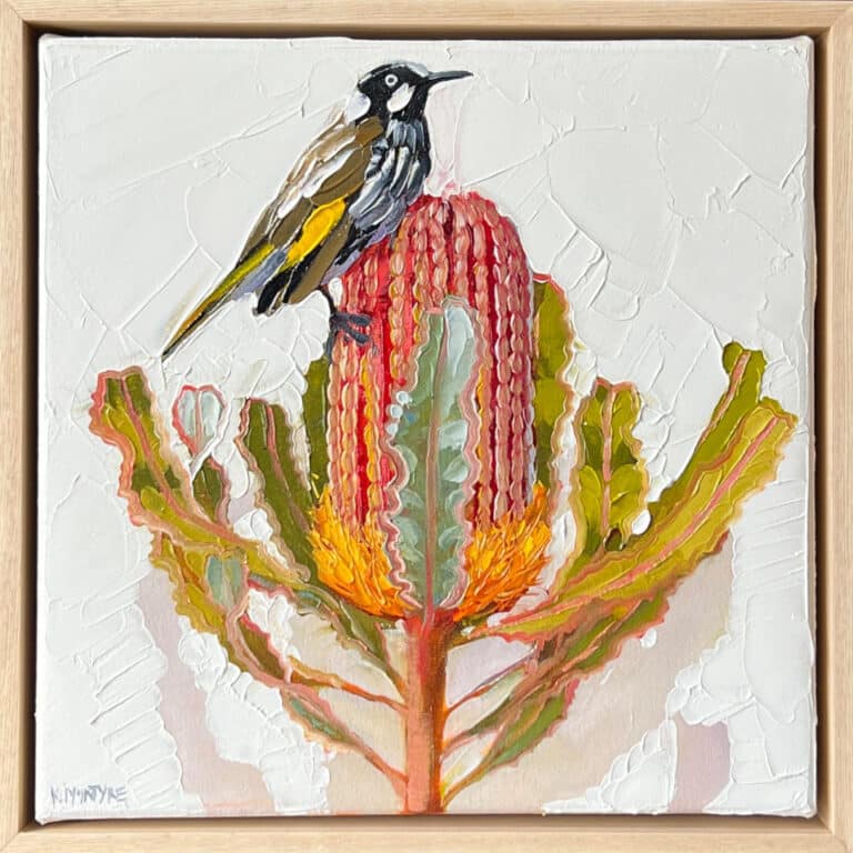 New holland honeyeater with banksia- Kirsty McIntyre