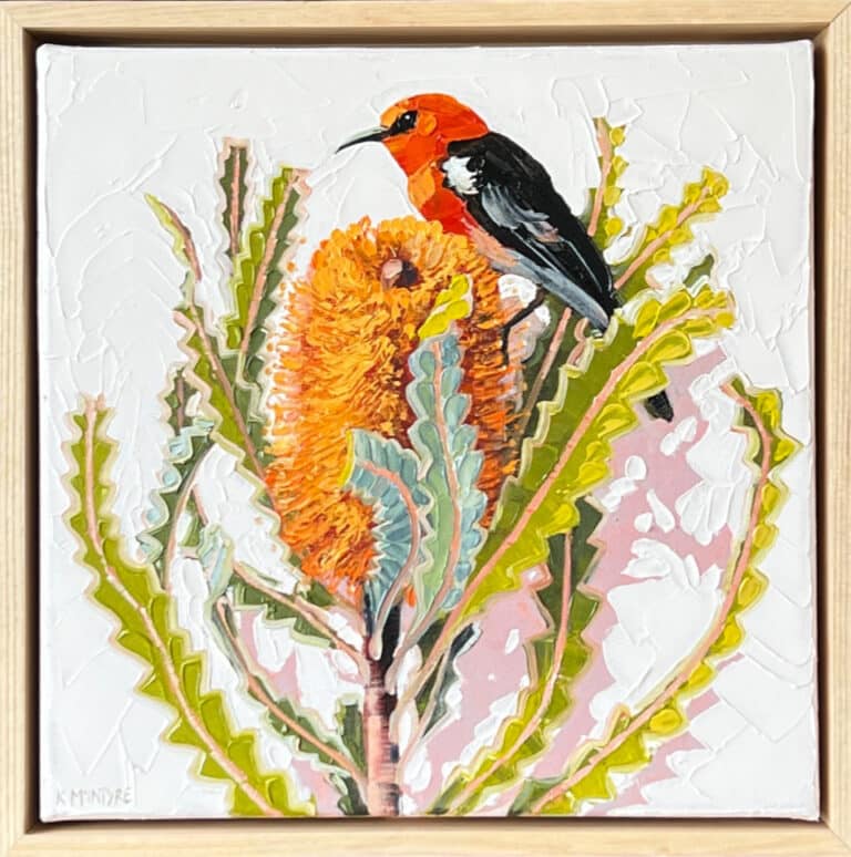Scarlet honeyeater with banksia - Kirsty McIntyre