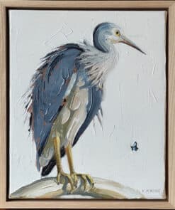 Alternative view of White faced heron - Kirsty McIntyre