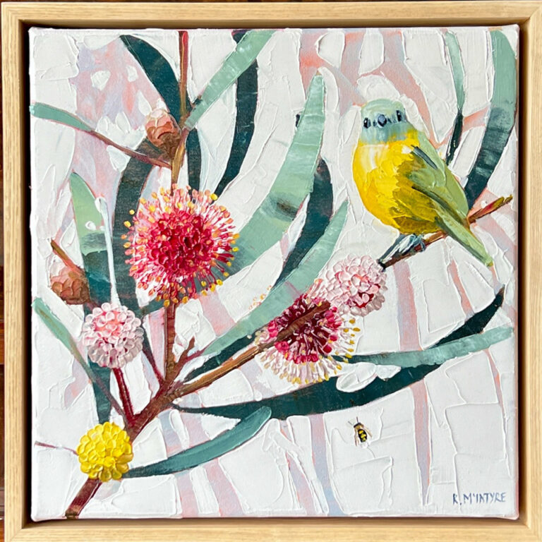 Yellow robin with hakea - Kirsty McIntyre
