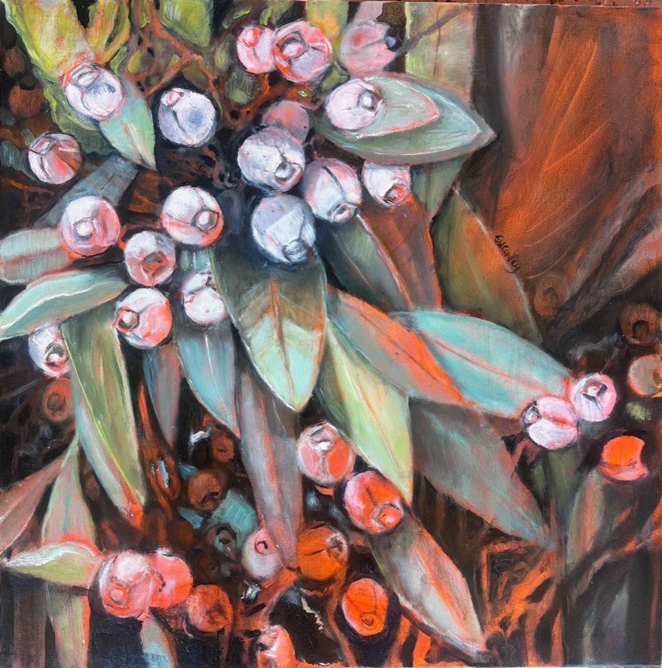 Gum Nuts Aflame - Susan Cowley-Carrasco