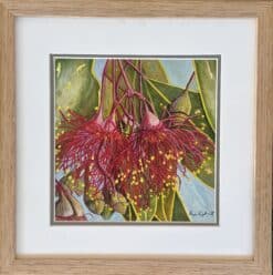 Gum Blossoms #1  - Suzie Ogilvie