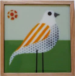 Alternative view of Spotted Pardalote - Grace Turner