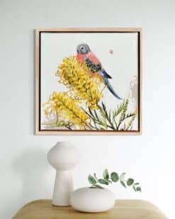 Alternative view of Bourke's parrot with moonlight grevilea - Kirsty McIntyre