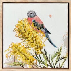 Bourke's parrot with moonlight grevilea - Kirsty McIntyre
