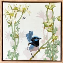 Fairy wren with flannel flowers - Kirsty McIntyre