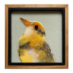 Dotterel - Grace Turner